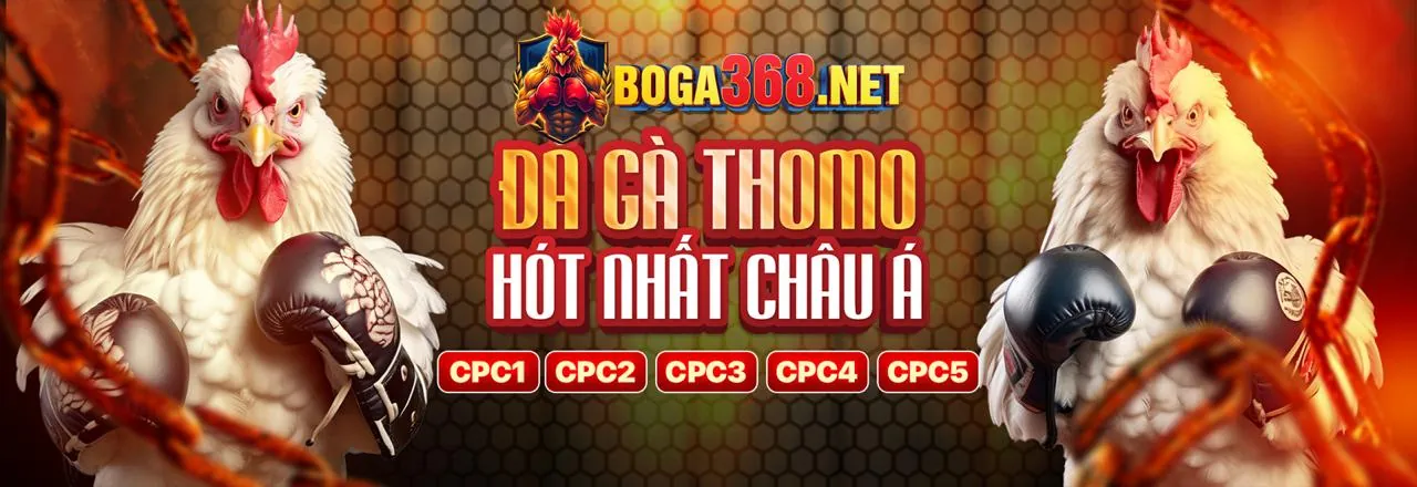 Phân tích lợi ích của chương trình VIP 888p